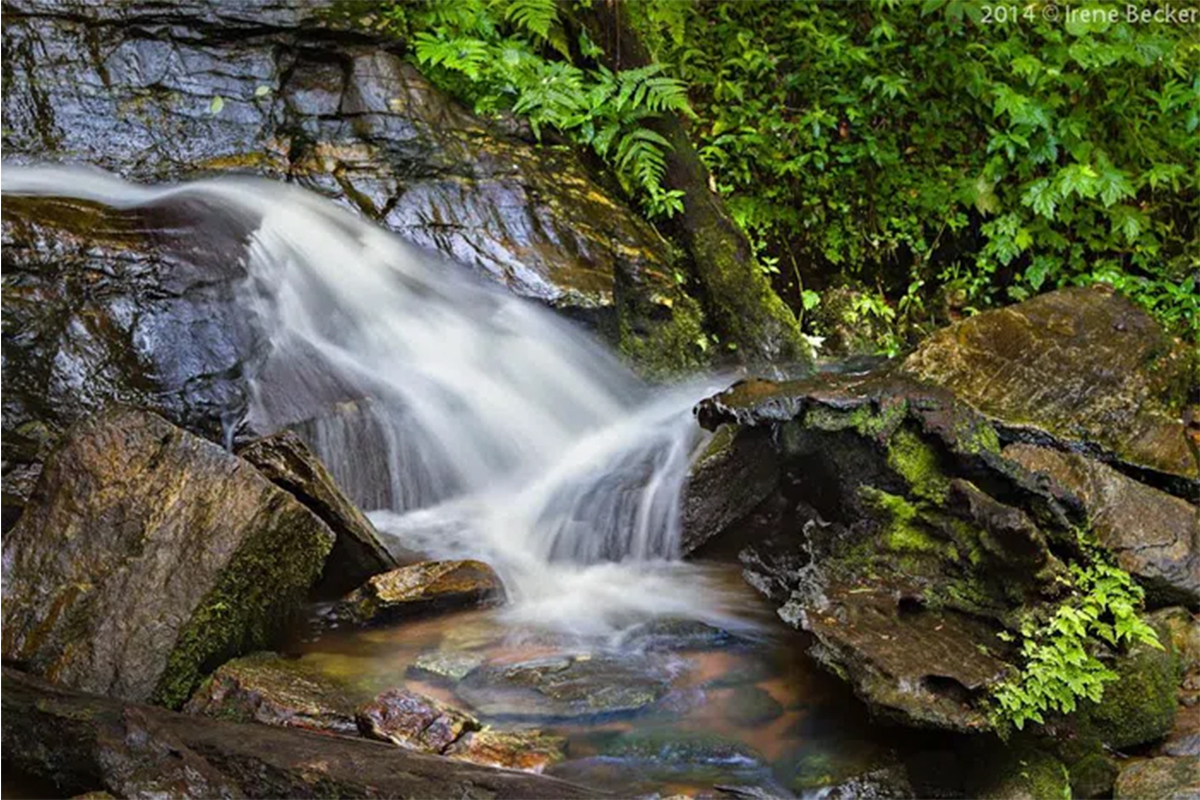 Erin Ijesha Waterfalls   